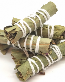 SAHUMERIO DE HIERBAS AROMÁTICAS